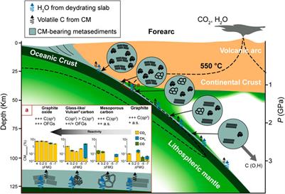 Experimental dissolution of carbonaceous materials in water at 1 GPa and 550°C: Assessing the role of carbon forms and redox state on COH fluid production and composition during forearc subduction of organic matter